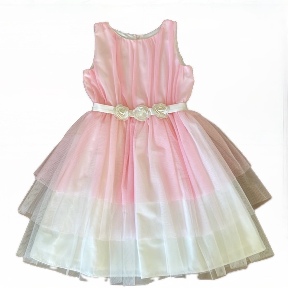 Chasing fireflies girl pink dress size 10. Never worn.